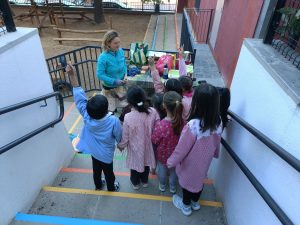 Taller de Pintura Mural de la Sabana a l'Escola Granullarius